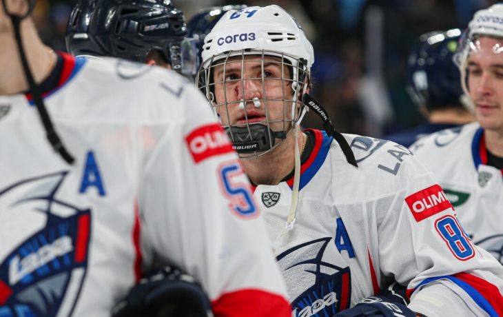 Алтыбармакян: «Лада» может бороться за плей‑офф, но надо прервать серию поражений» Алтыбармакян: «Лада» может бороться за плей‑офф, но надо прервать серию поражений»