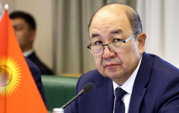 МИД Киргизии назвал срок урегулирования правового положения мигрантов в РФ