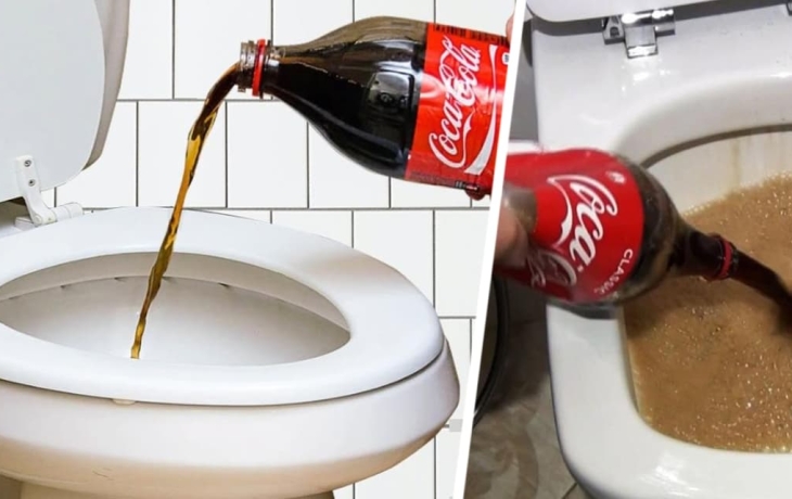 Она наливает пол-литра колы в унитаз, и вот что происходит Она наливает пол-литра колы в унитаз, и вот что происходит