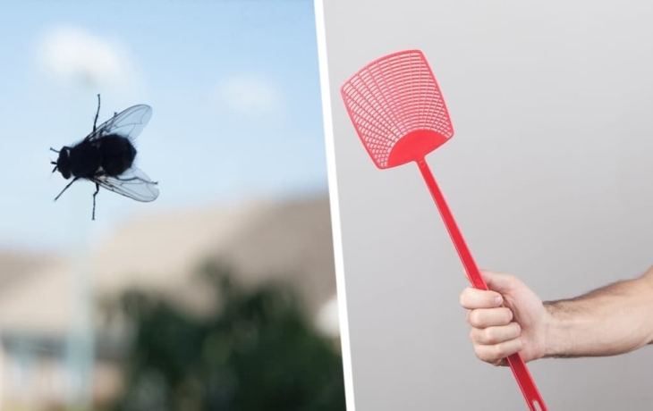 Два натуральных средства - и мухи будут держаться подальше от вашего дома или квартиры: они &laquo;ненавидят&raquo; такой запах, а человеку приятно