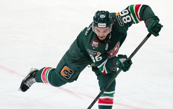 Дыняк: «В последнее время «Ак Барс» выпустил птицу счастья из своих рук» Дыняк: «В последнее время «Ак Барс» выпустил птицу счастья из своих рук»