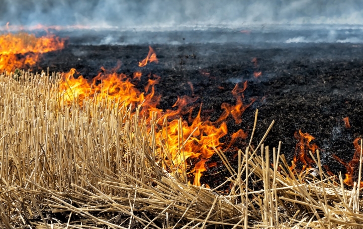 Пожар охватил два курских села после обстрела ВСУ