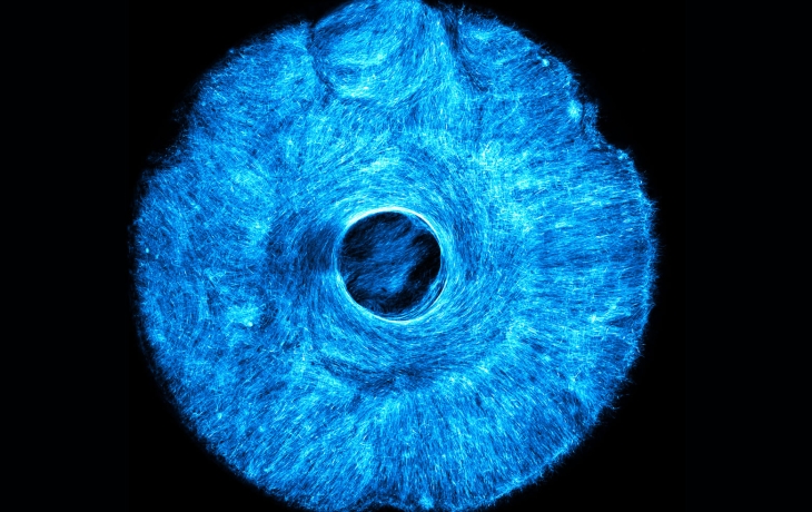 В MIT разработали мышцы для роботов, которые сокращаются в разных направлениях