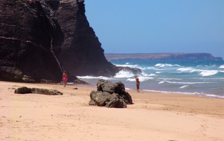 Родственная пиранье рыба покусала около 100 человек за два года Родственная пиранье рыба покусала около 100 человек за два года