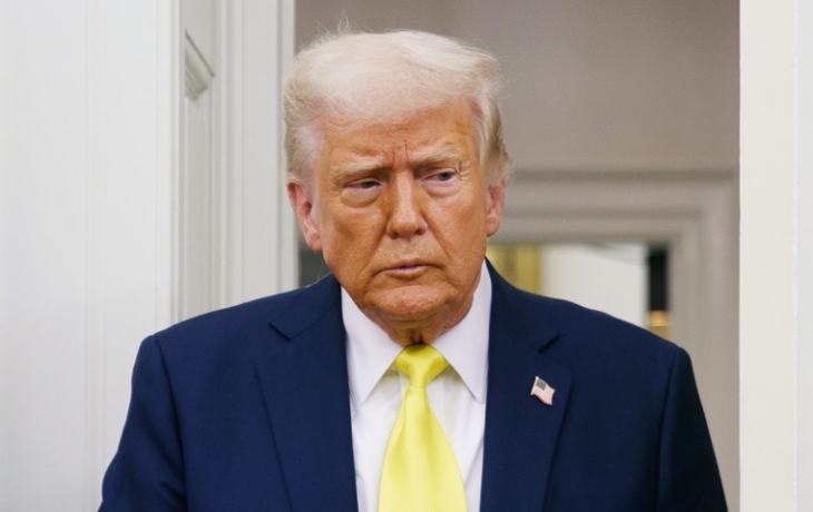 «Лучшая сделка для Украины»: в США назвали мирный план Трампа ужасным