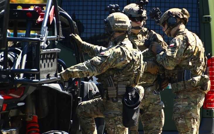 Раскрыты истинные причины желания Польши отправить войска на Украину