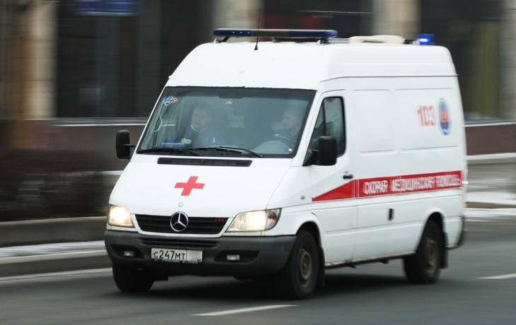 Стая собак растерзала десятилетнюю девочку в российском городе