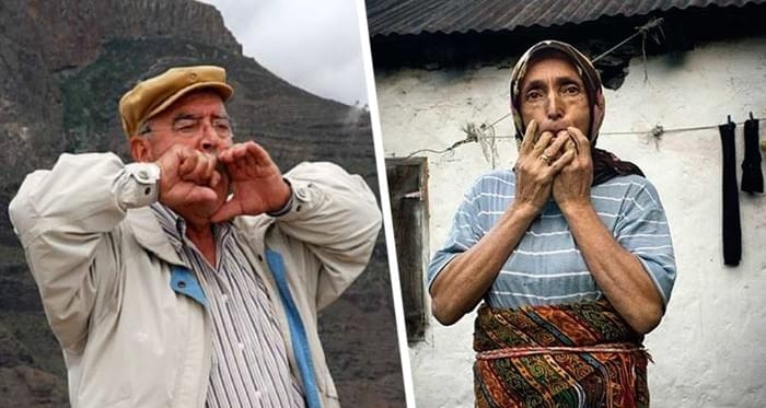 В этой турецкой деревне для общения используют &laquo;птичий язык&raquo;: 5 фактов о которых мало кто знает