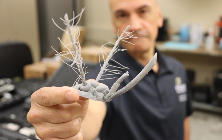 Ученые создают датчики, похожие на усики комаров, для обнаружения землетрясений Ученые создают датчики, похожие на усики комаров, для обнаружения землетрясений