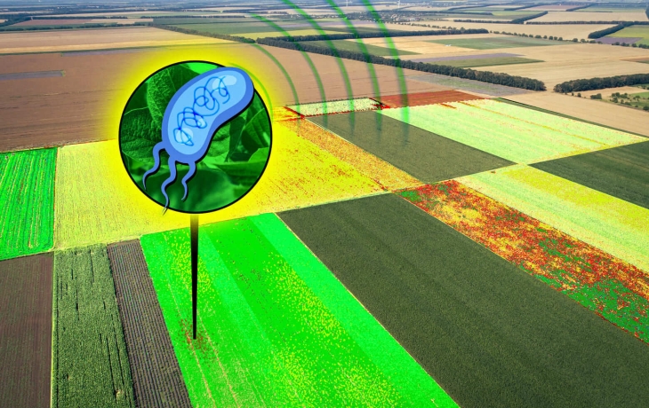 Разработаны &laquo;бактерии-шпионы&raquo;: они посылают сигнал, заметный с высоты