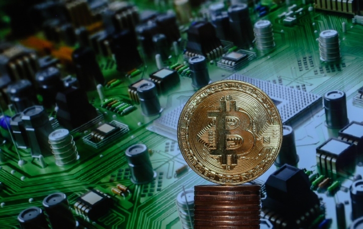 На заброшенном участке под Рязанью нашли необычную ферму На заброшенном участке под Рязанью нашли необычную ферму