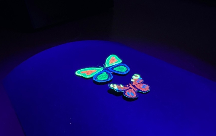 Инженеры создали «крылья бабочек», которые работают без электроники Инженеры создали «крылья бабочек», которые работают без электроники