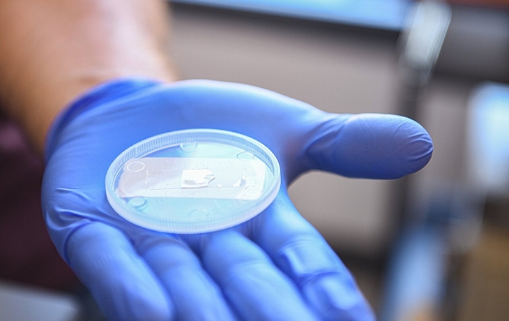 Сапфировые наноструктуры защищают экраны от царапин, а линзы — от запотевания и влаги Сапфировые наноструктуры защищают экраны от царапин, а линзы — от запотевания и влаги