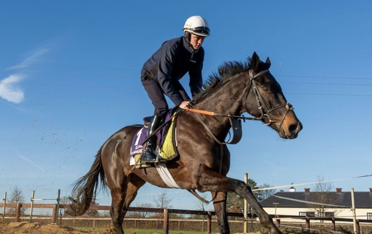 Тренер по конному спорту из Самары жестоко избила&nbsp;лошадей и спортсменов&nbsp;