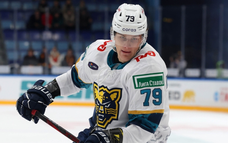 Хоккеист &laquo;Сочи&raquo; заработал матч‑штраф, ткнув соперника клюшкой в спину после свистка