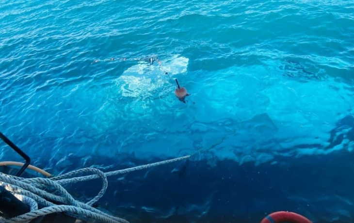 Капитан затонувшего в Хургаде батискафа раскрыл подробности трагедии