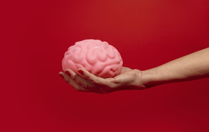 Ученые выяснили, как землеройки уменьшают мозг в зимнее время Ученые выяснили, как землеройки уменьшают мозг в зимнее время