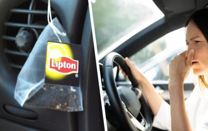 Вот почему вам надо положить в салон автомобиля пакетик чая: затхлого запаха больше не будет Вот почему вам надо положить в салон автомобиля пакетик чая: затхлого запаха больше не будет