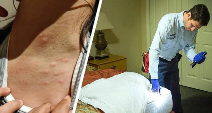 Вот 7 предупреждающих знаков, что в вашем гостиничном номере завелись постельные клопы Вот 7 предупреждающих знаков, что в вашем гостиничном номере завелись постельные клопы