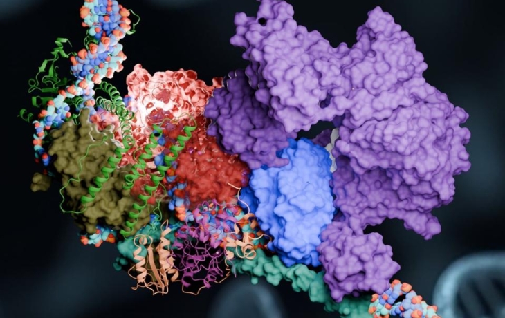 Суперкомпьютер раскрыл тайны &laquo;молекулярного ремонта&raquo;  ДНК