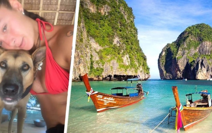 Туристка рассказала, как она живет на Самуи в Таиланде бесплатно с собаками